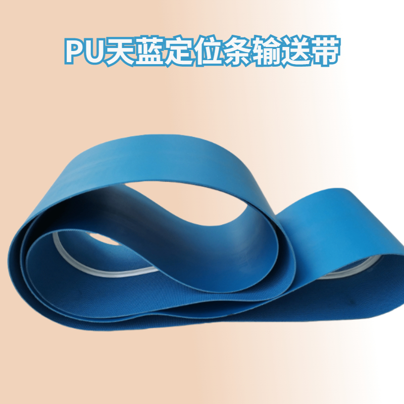 PU����ɫʳƷ���ʹ�